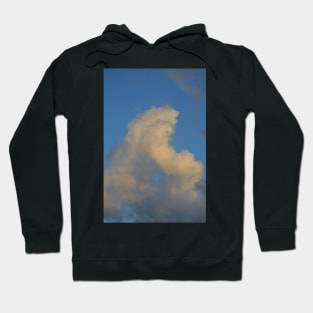 Wave of Vapor Hoodie